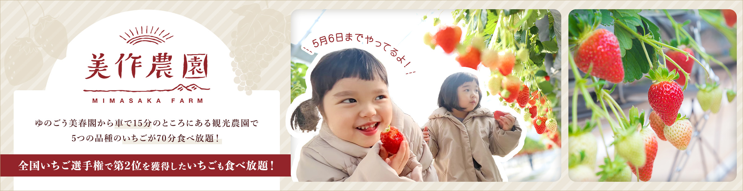70分間いちごが食べ放題！美作農園
