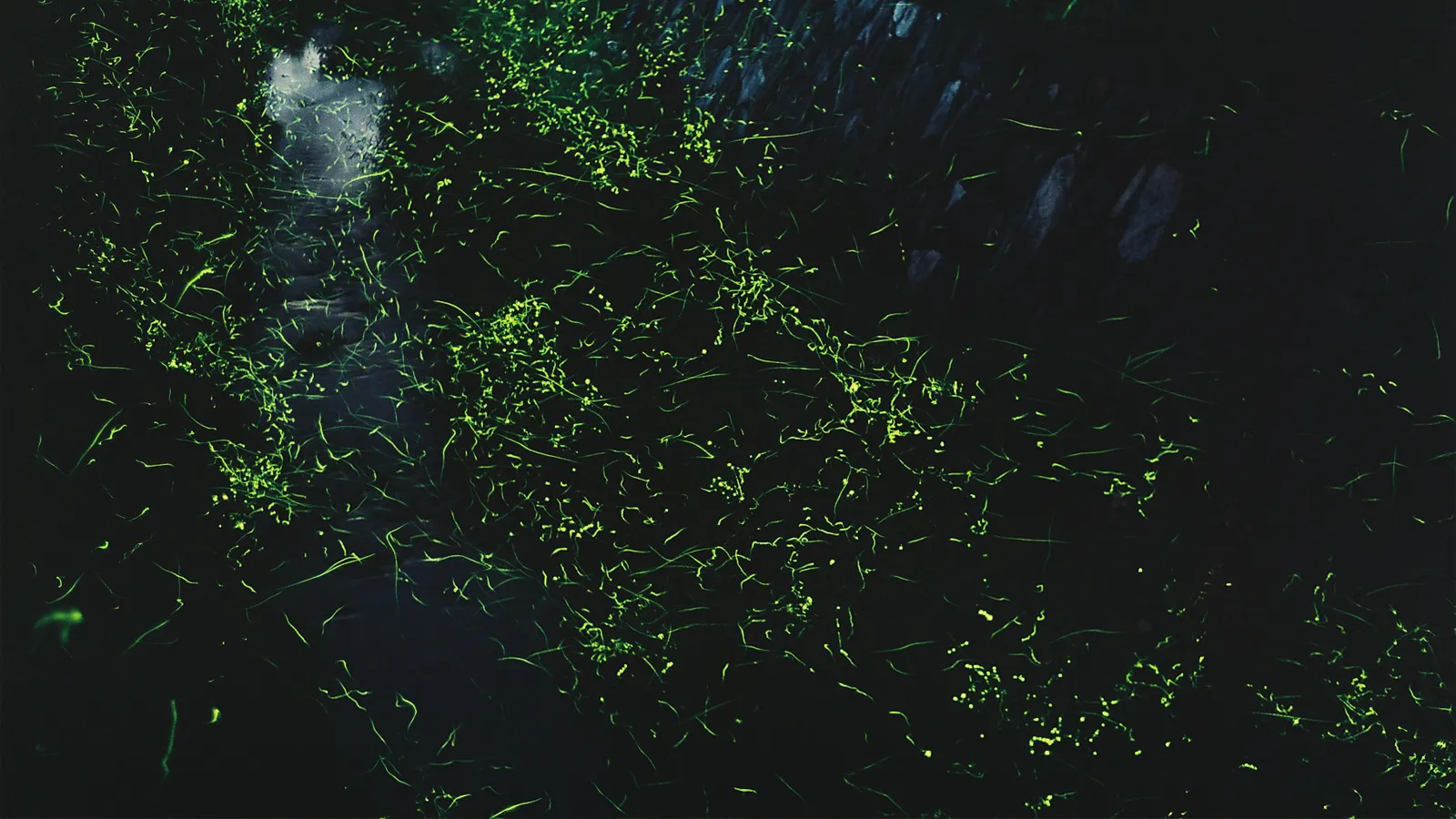 アイキャッチイメージ